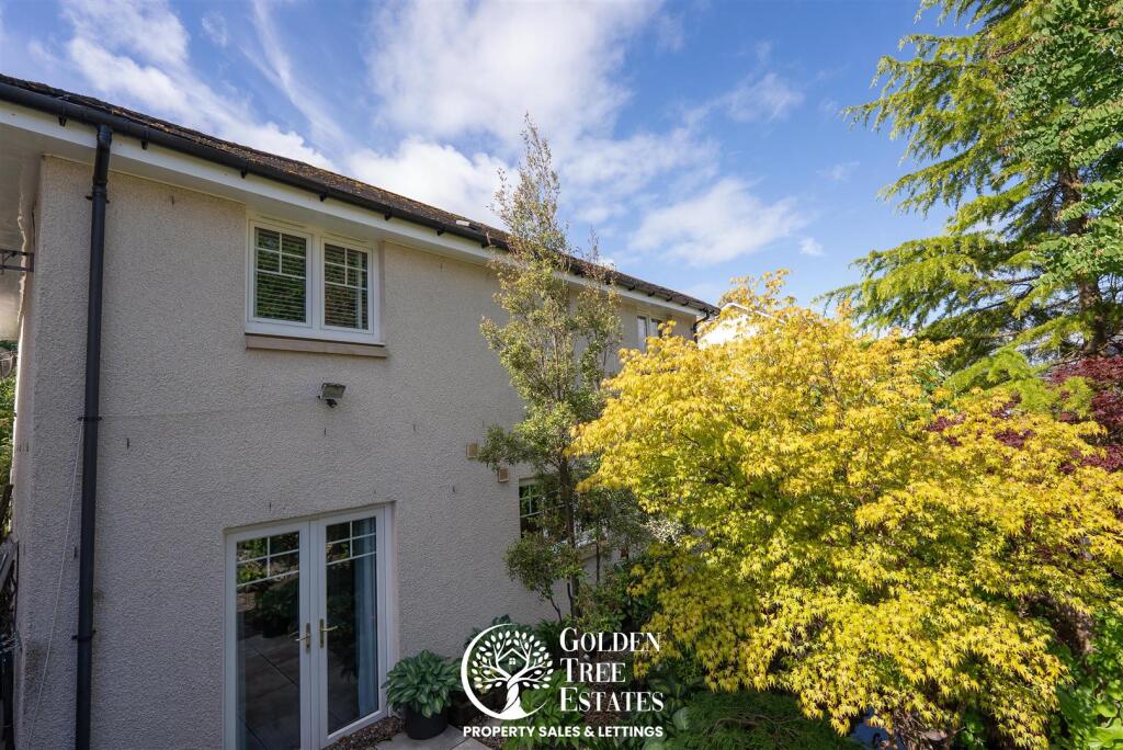 Images Above-09767.jpg