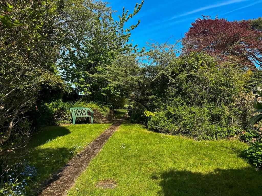 Rear Garden (Middle)