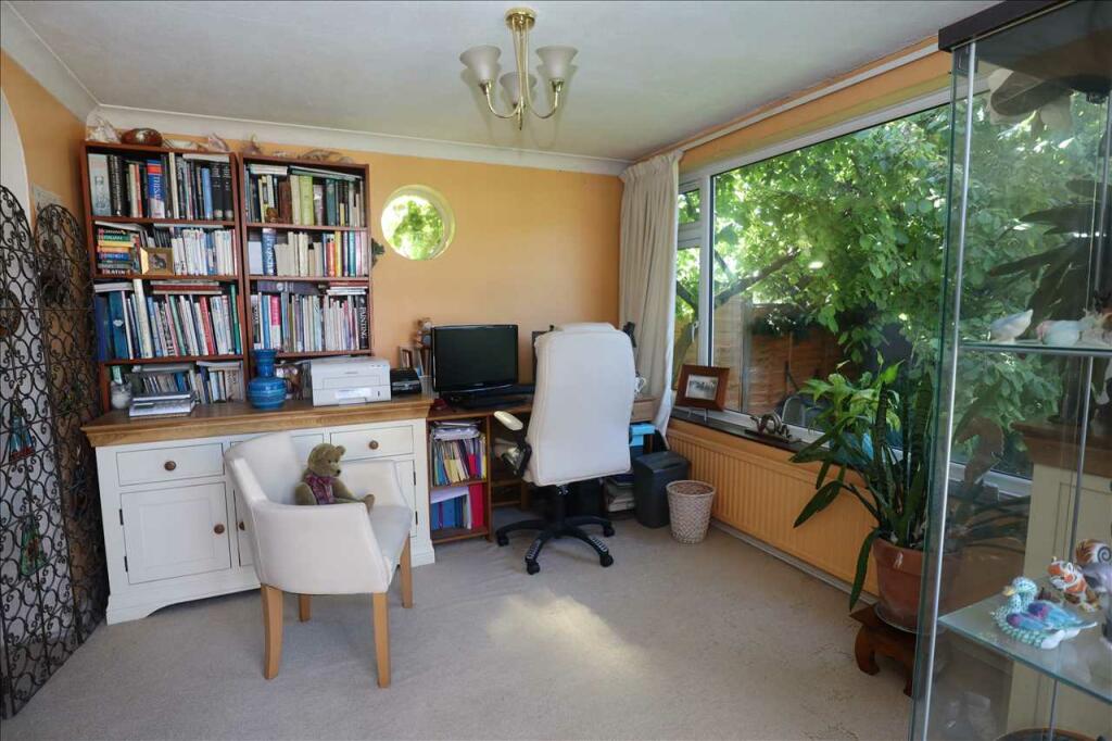 Study Area