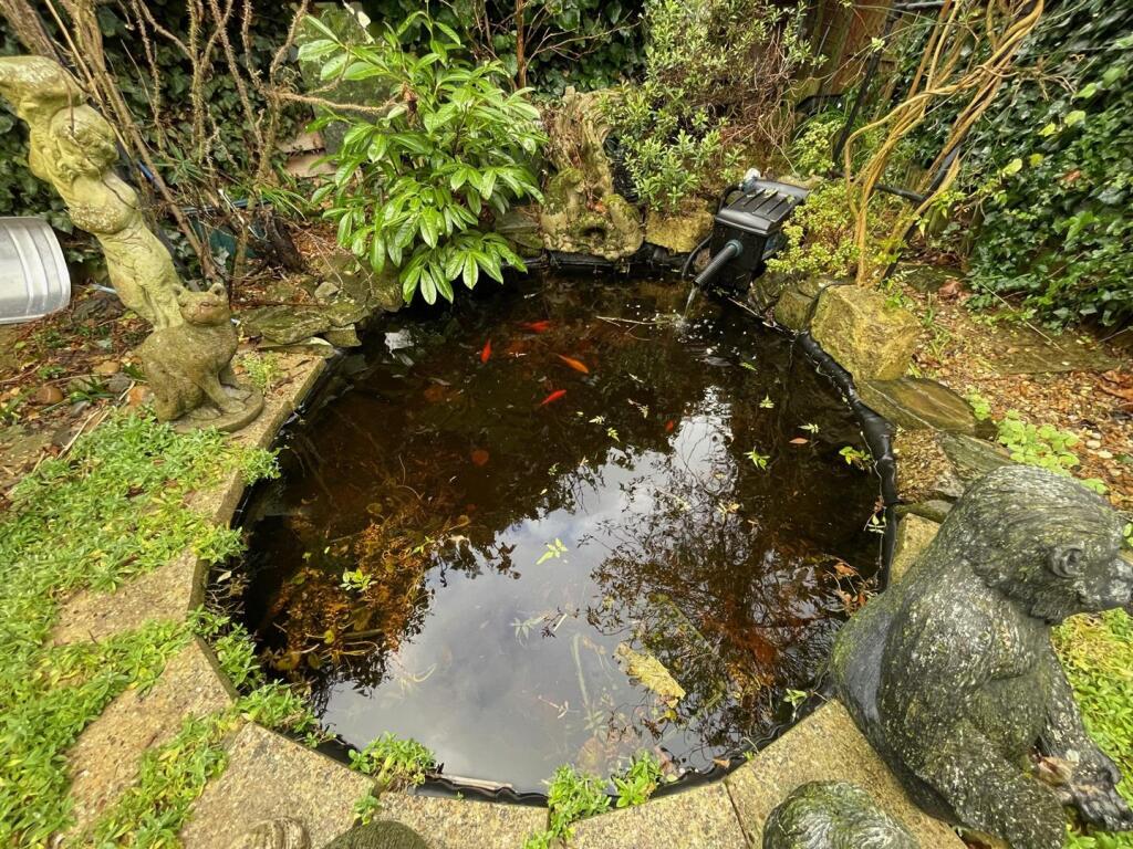 pond