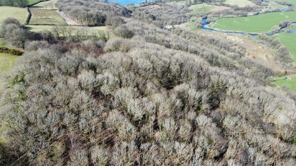 dji_fly_20250402_104414_91_1743589045646_photo_opt