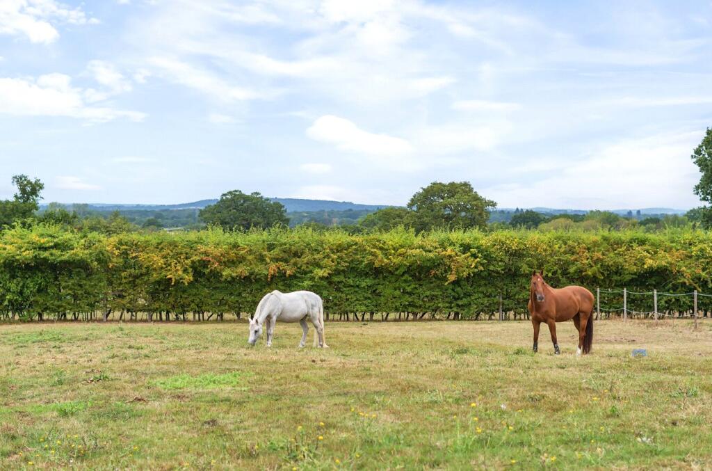 1336883-18-68a5c2...