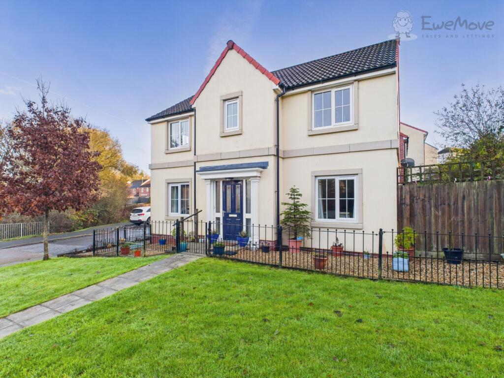 EWEMOVE SOUTH MOLTON - FRONT