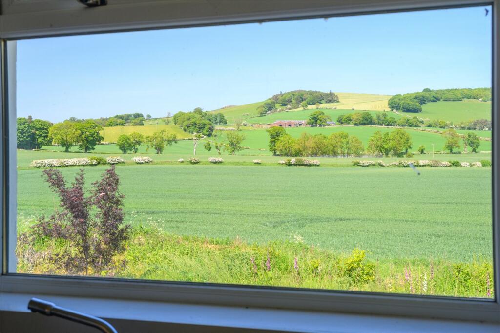 View From Window