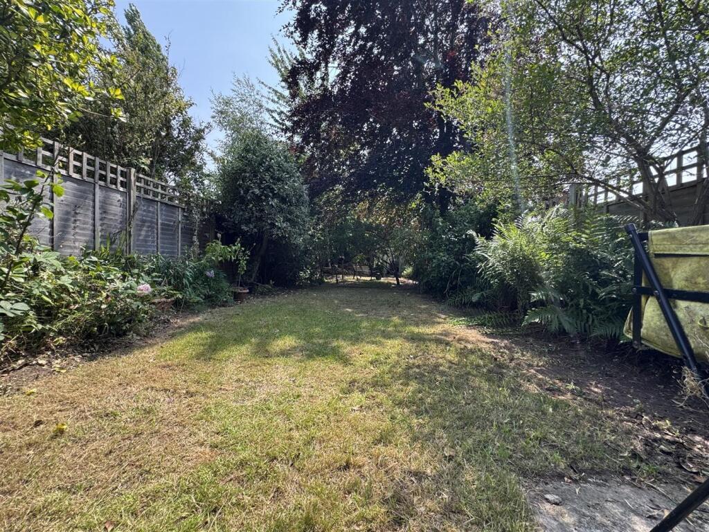 IMG_4415 (Large).JPG