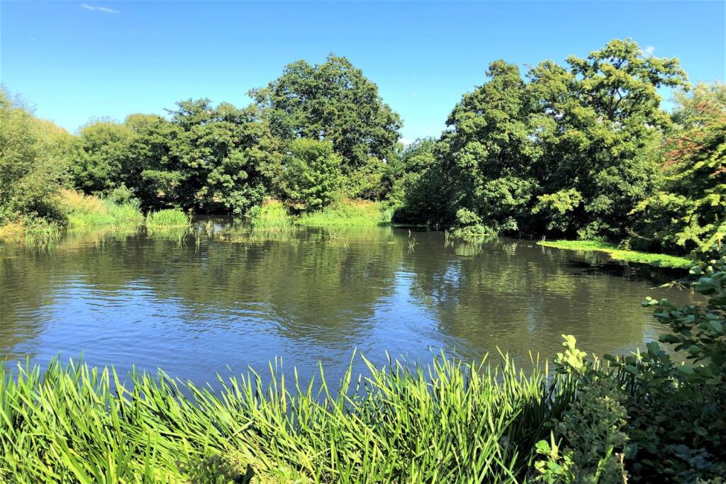 Grounds 