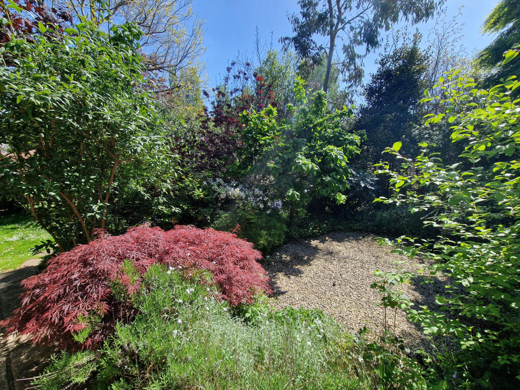 Rear Garden-angle 3