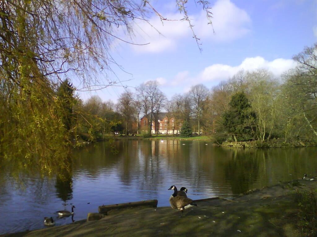DSC00021.JPG