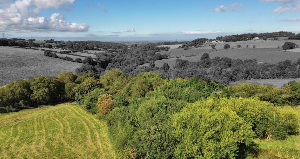 woodland and views.JPG