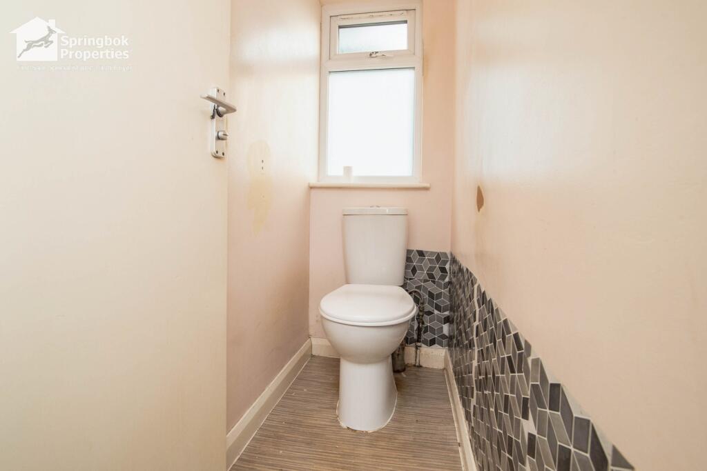 IMAGE 11