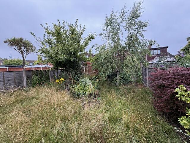 IMG 8826 T202508141203.jpg