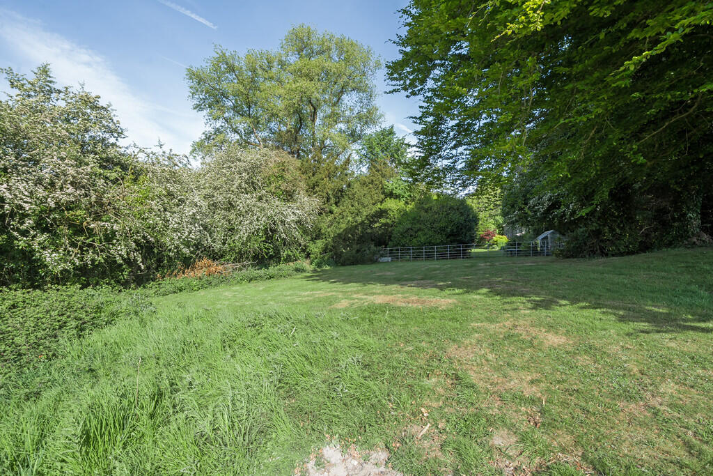 Surrounding Area