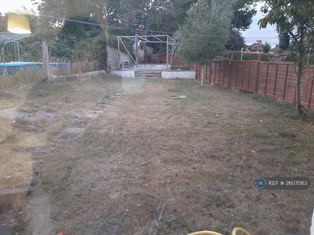 Back Garden
