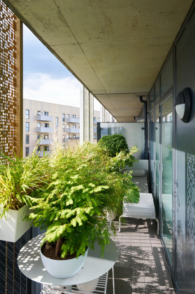 301557 - DSC09115.jpg