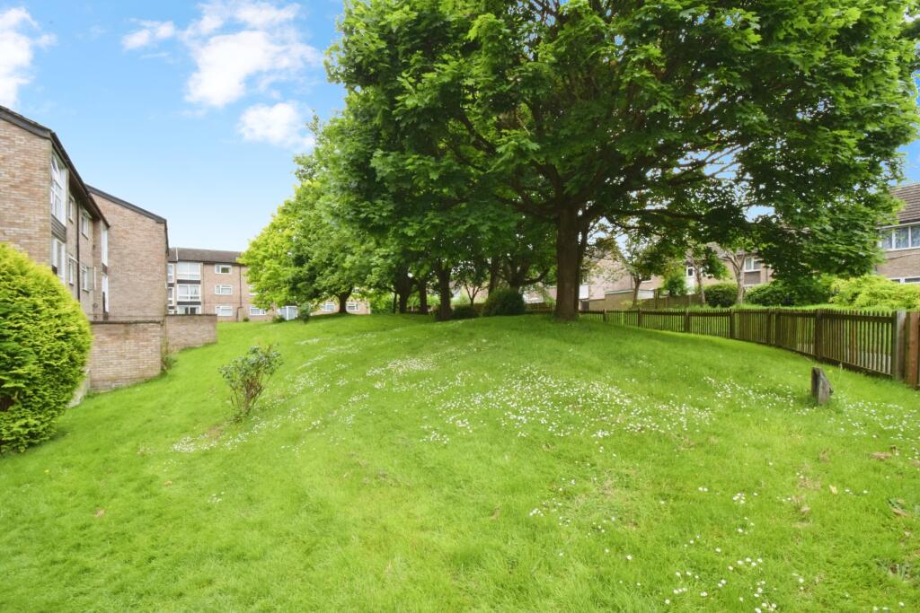 Rear Of The Property