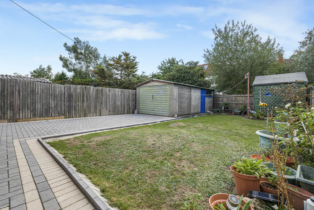 Garden (2)