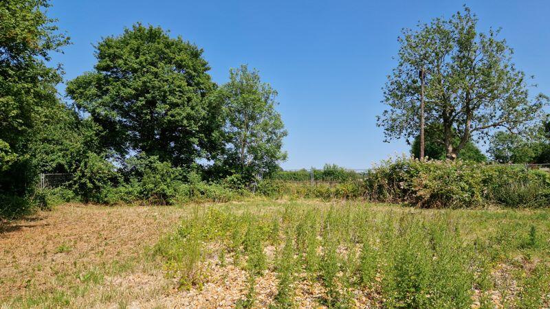 Rural Views