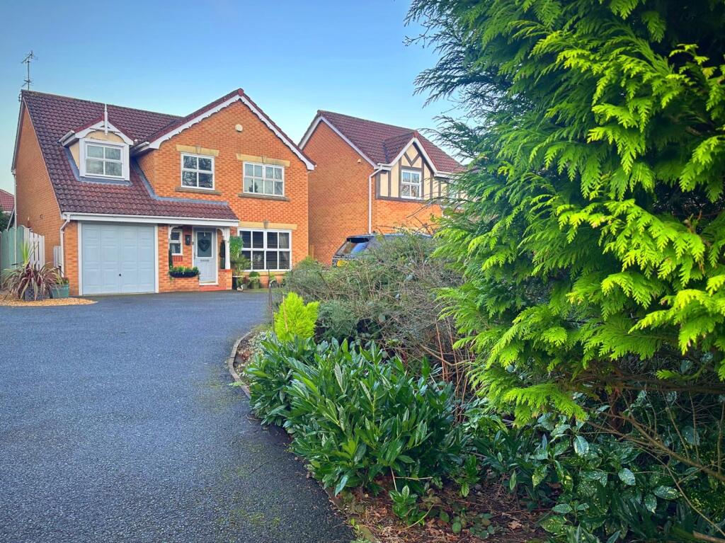 29b369f0-493a-49af-a306-7522cb7e2876