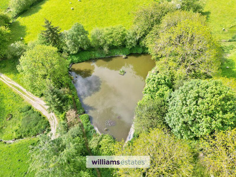 Garden/Pond