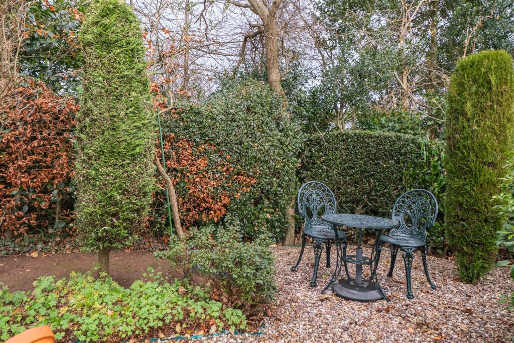 30 Torr Rise-057.jpg