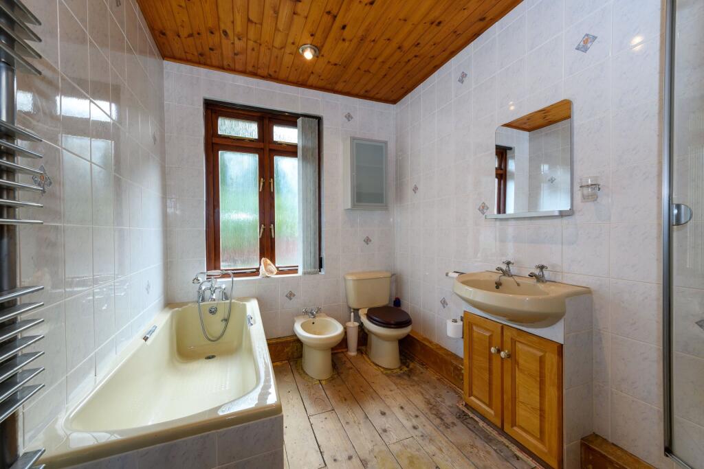 TEK HiRes 250731 058.jpeg