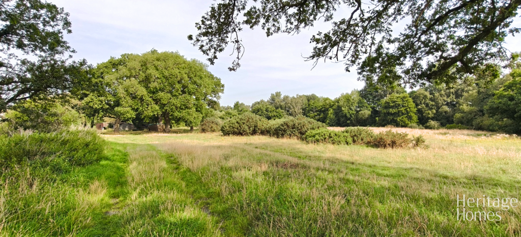 IMG20250813102515-fotor-2025081414916