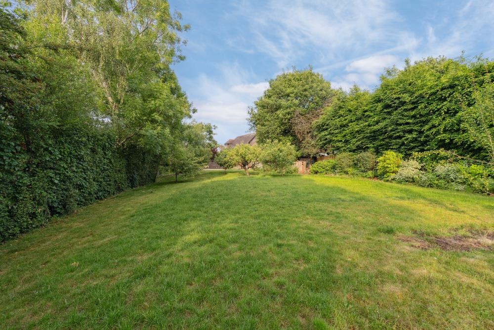 garden two.jpg