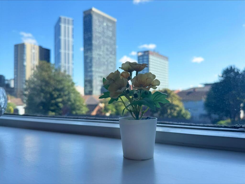 Window