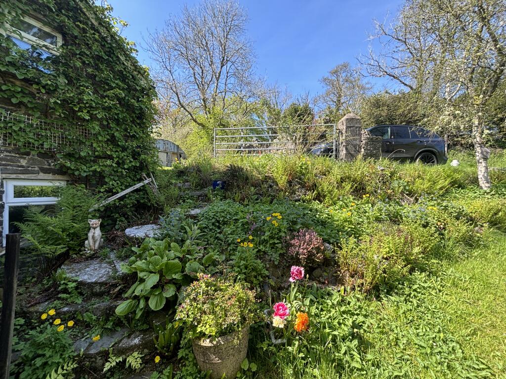 GARDEN 2 T202508041512.jpg