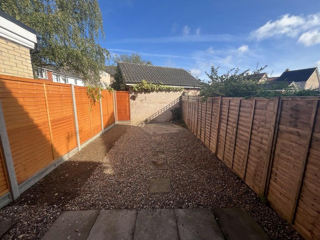 Back garden