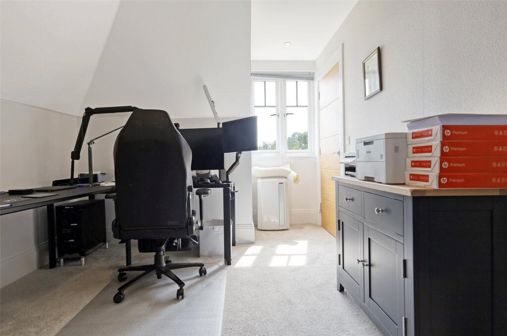 Study Area