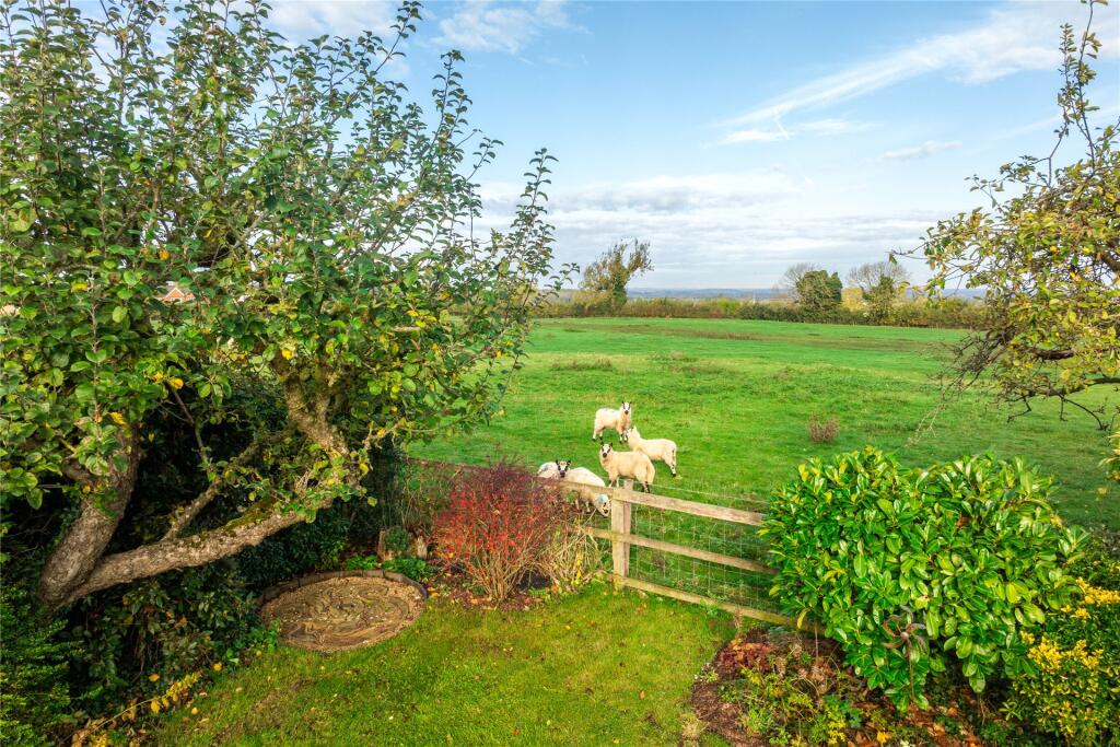 Countryside Views