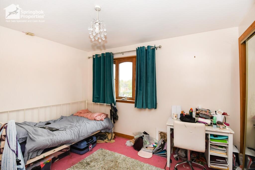 IMAGE 12