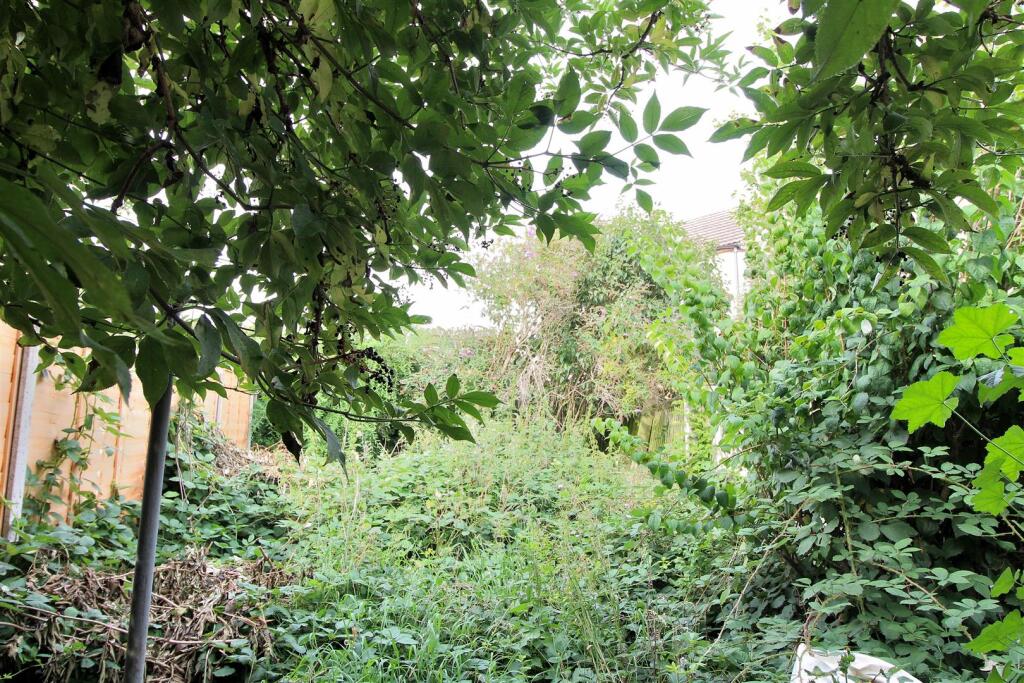 Back Garden
