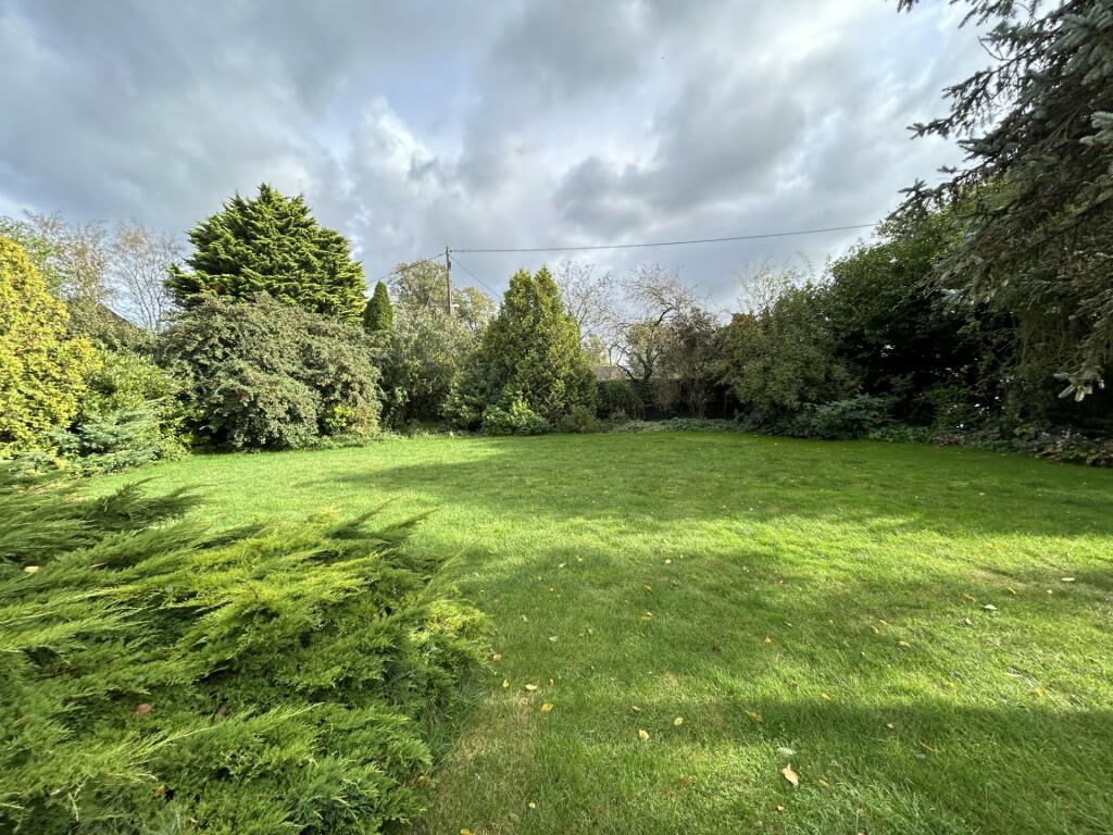 garden 2