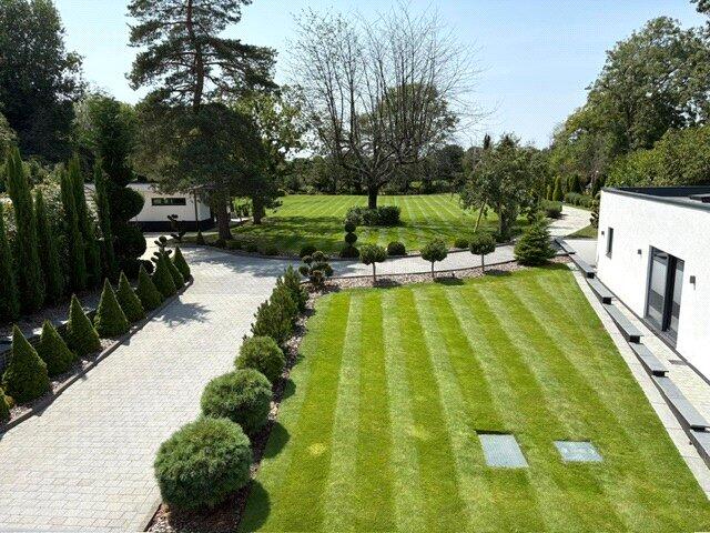 Grounds