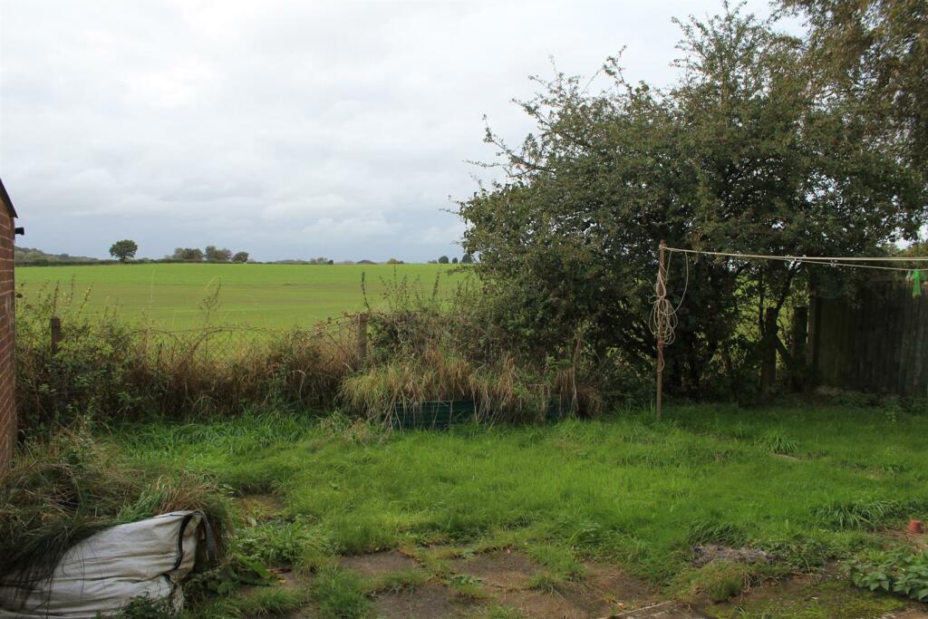 Garden.JPG