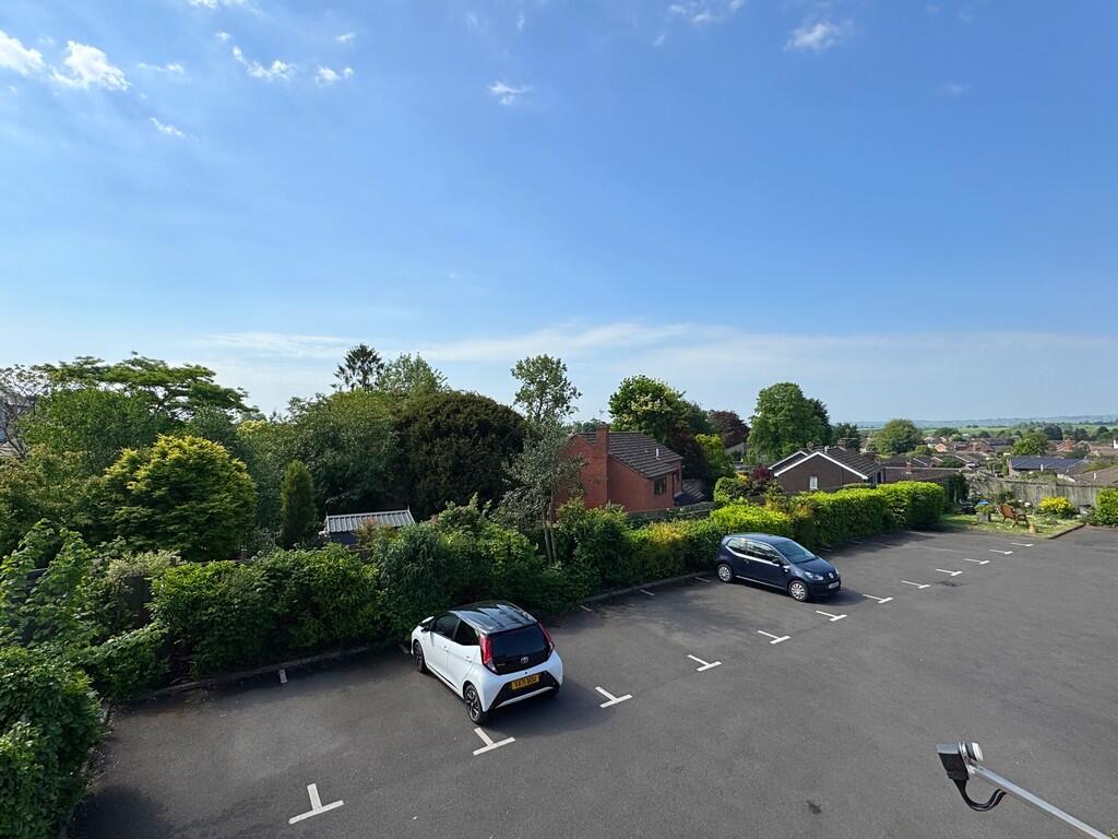 Outlooks from bed...