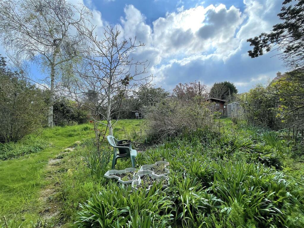 Garden (7).jpeg