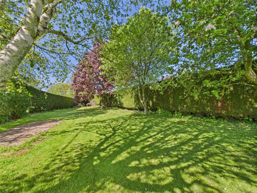 Garden 2.jpg