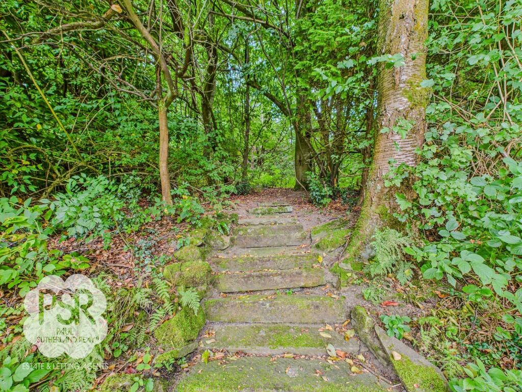 Into the Woodland Area