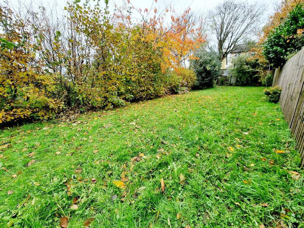 Lawn.jpg