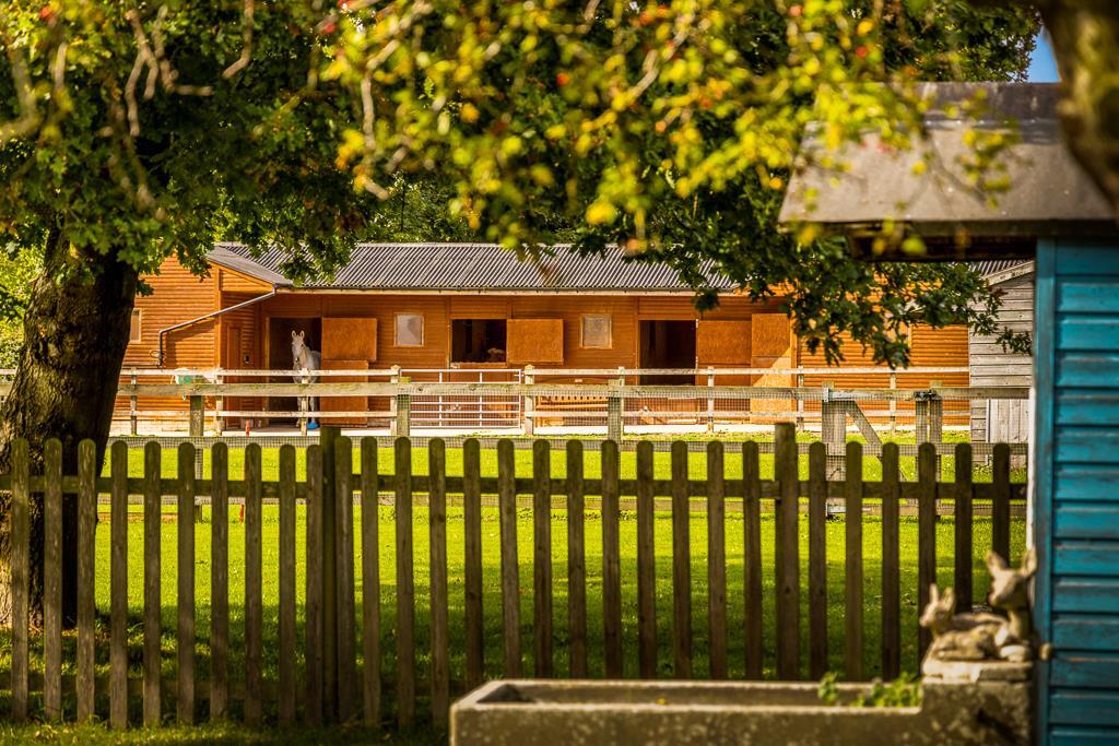 Ashton House (Kirton)-37.jpg