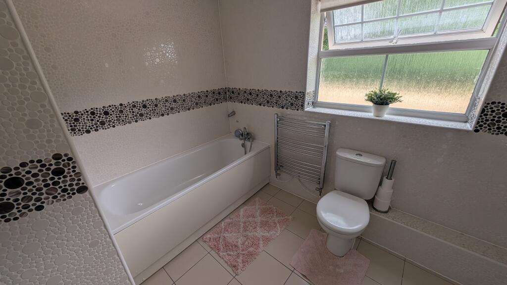 PXL_20250714_1102251