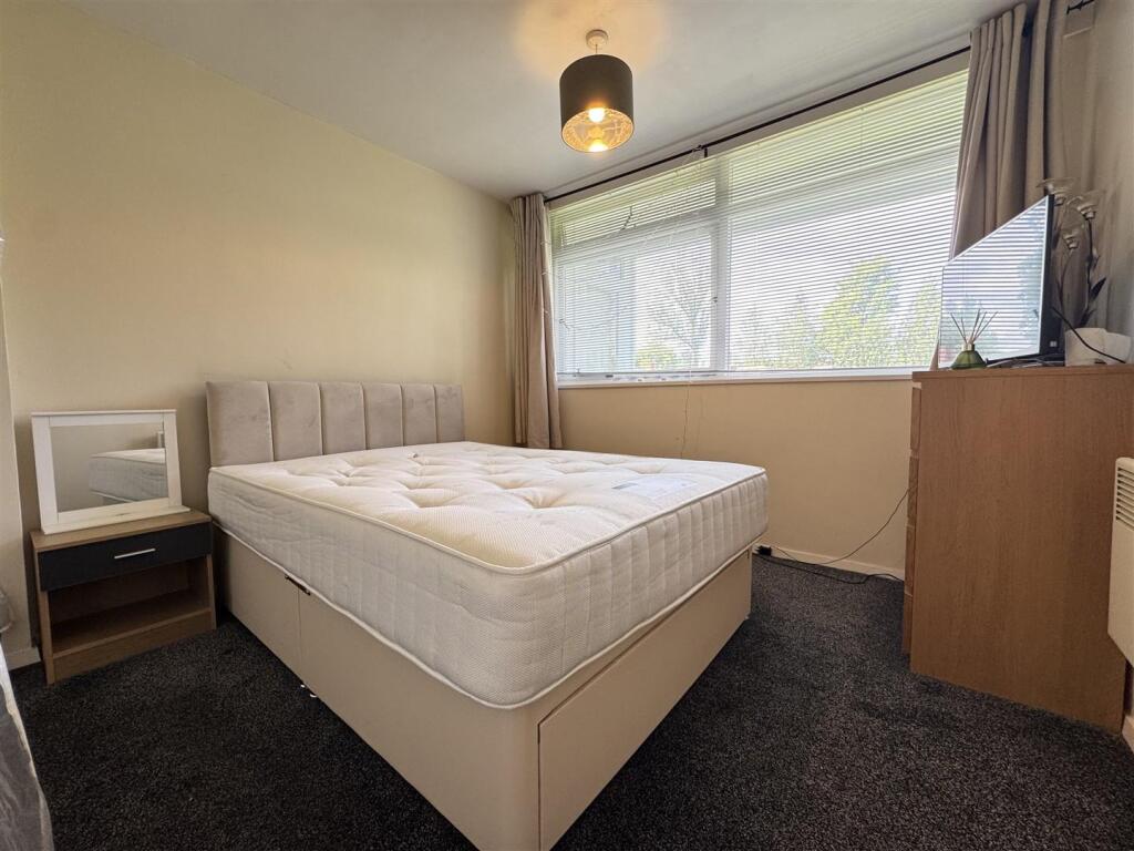 IMG_3546 (Large).JPG