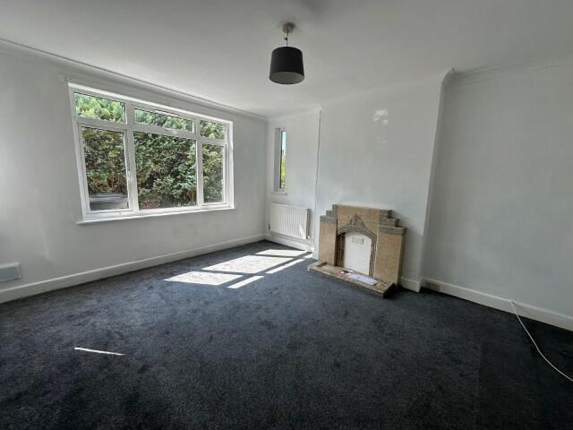 2 (Small) T202408271643.jpg