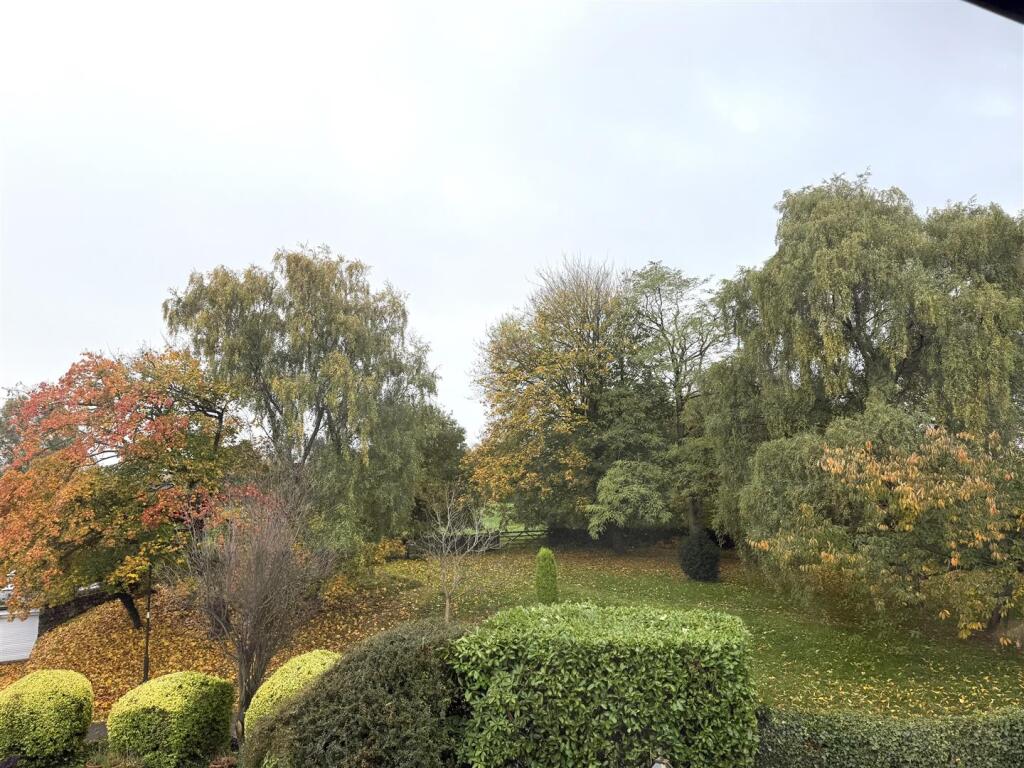 Pond 16.jpg