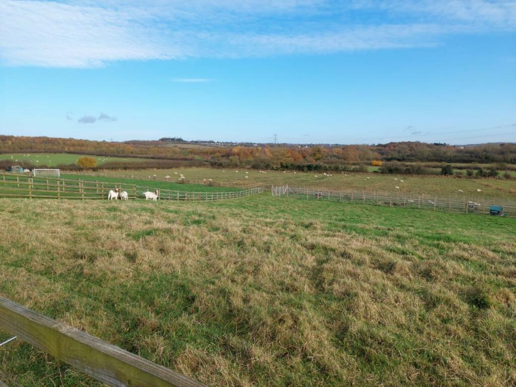 Fields To The Rear