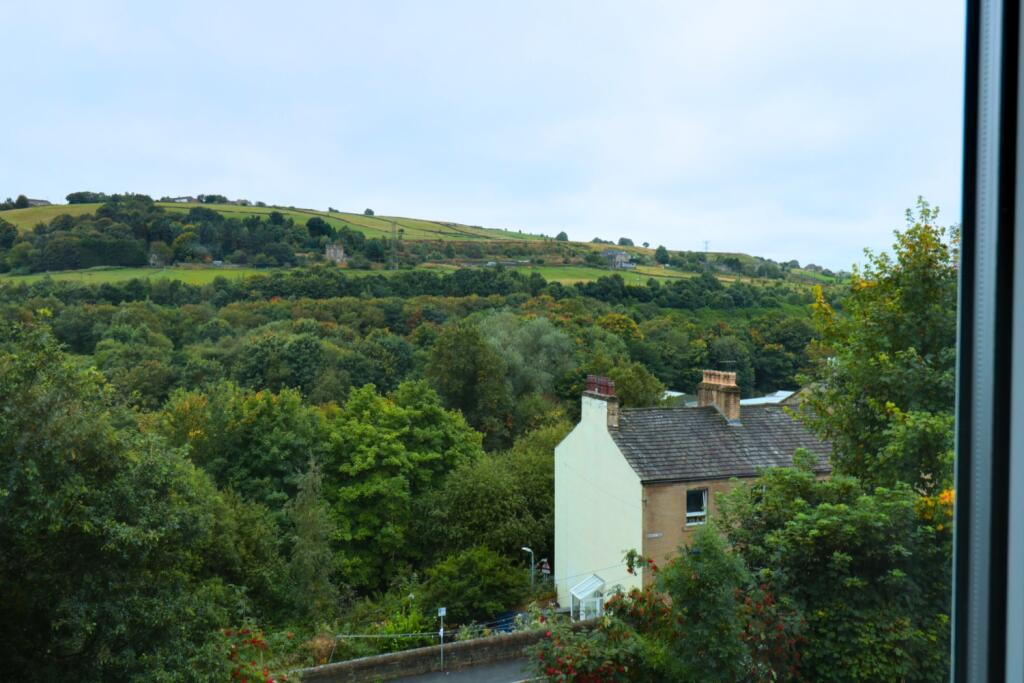 View from Living Room