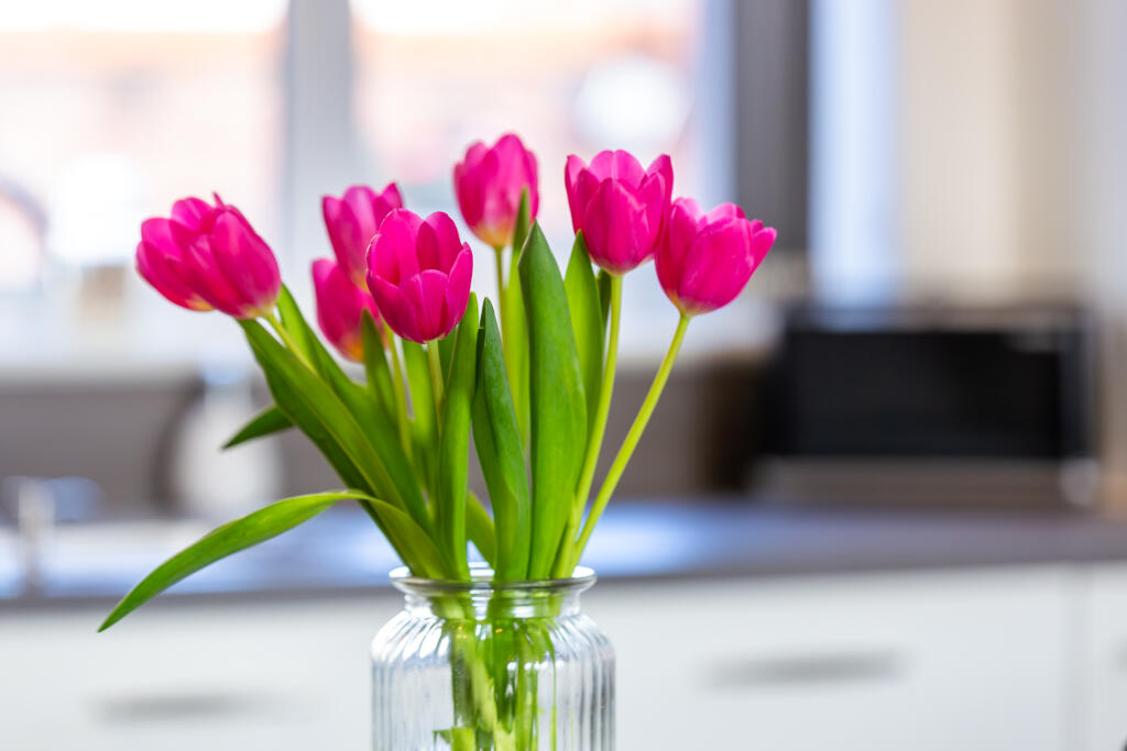 5F8A3387-Enhanced-NR